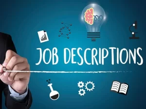 الوصف الوظيفي