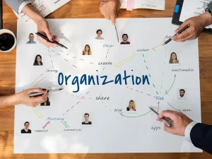 هيكل الدرجات والمزايا